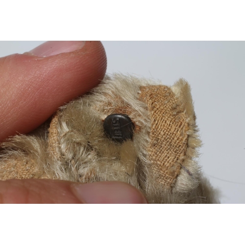 159 - An early 20th century Steiff teddy bear with metal ear button, black shoe button eyes, light orange ... 