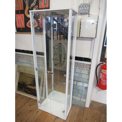 1046 - GLASS DISPLAY CABINET