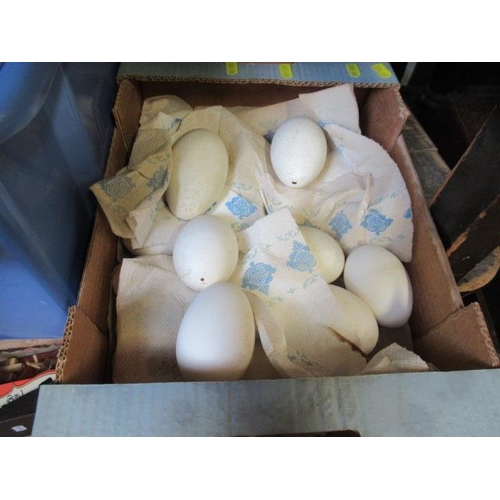 34 - BOX OF LARGE BIRDS EGGS