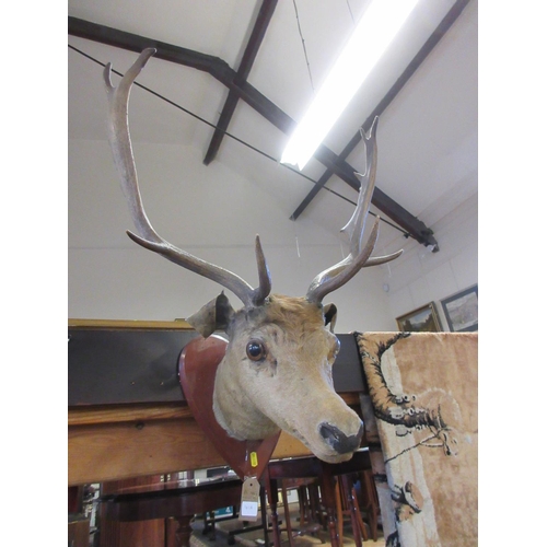 41A - MOUNTED FALLOW DEER