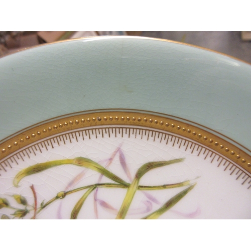 352 - SIX ROYAL WORCESTER BUTTERFLY PLATES