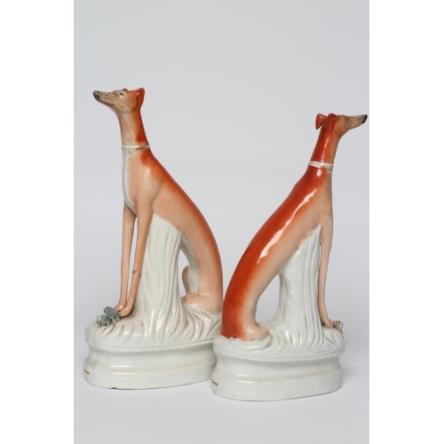 19 - A PAIR OF VICTORIAN STAFFORDSHIRE POTTERY GREYHOUNDS modelled seated with free-standing fore-legs, h... 