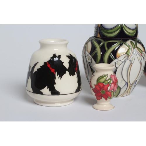 65 - A MOORCROFT POTTERY CANINE COMPANION SMALL VASE, 2019, by Nicola Slaney, 3