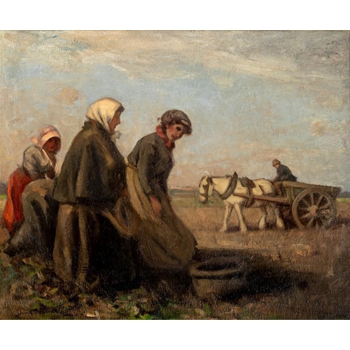 595 - DAVID T ROBERTSON (1879-1952) The Potato Pickers, signed lower left, oil on canvas, 25