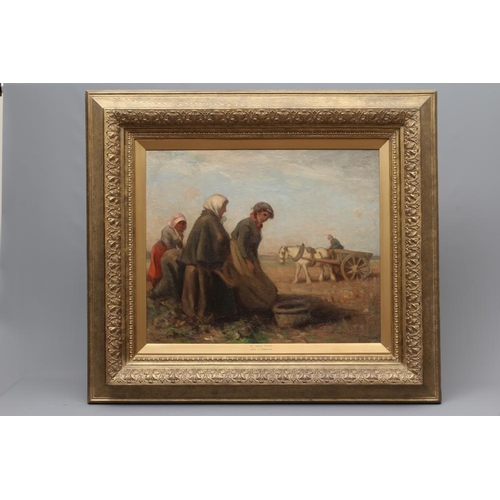 595 - DAVID T ROBERTSON (1879-1952) The Potato Pickers, signed lower left, oil on canvas, 25