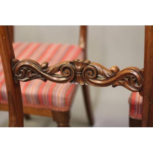 709 - A SET OF SIX EARLY VICTORIAN ROSEWOOD DINING CHAIRS, mid 19th century, the open back with curved top... 