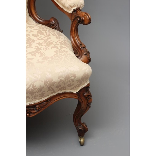 731 - A VICTORIAN WALNUT SHOW FRAME SALON CHAIR, late 19th century, of spoon back form button upholstered ... 