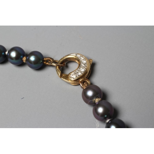 351 - A SINGLE STRING OF BLACK CULTURED PEARLS, the circular clasp stamped 750 and point set with seven sm... 