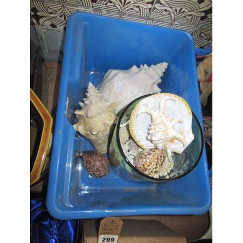 299 - BOX OF SEA SHELLS