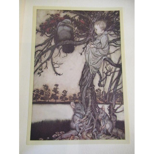 395 - 1920 EDITION OF PETER PAN IN KENSINGTON GARDENS ILLUSTRATED BY ARTHUR RACKHAM