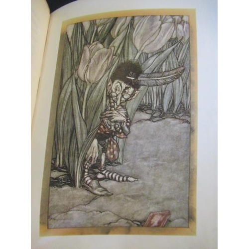 408 - CIRCA 1913 EDITION OF PETER PAN IN KENSINGTON GARDENS ILLUSTRATED BY ARTHUR RACKHAM