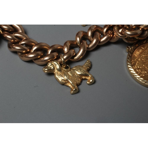 169 - TWO GEORGE V HALF SOVEREIGNS, 1912, in 9ct gold loose mounts pendant from a 9ct gold curb link chain... 