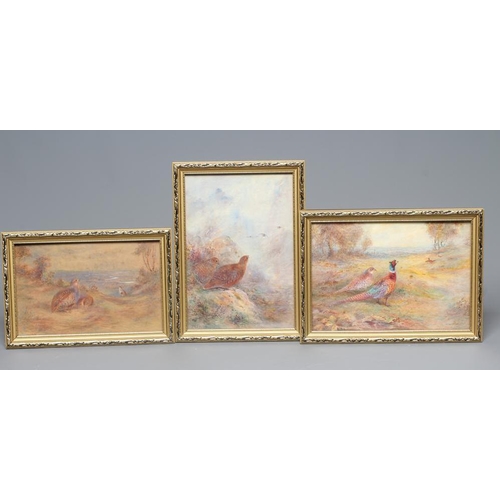 Lot 29        