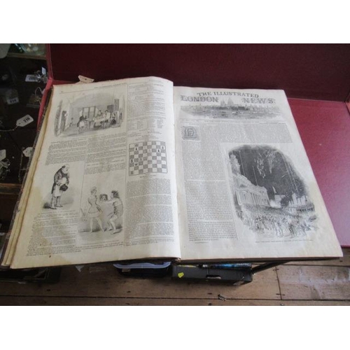 Lot 29        