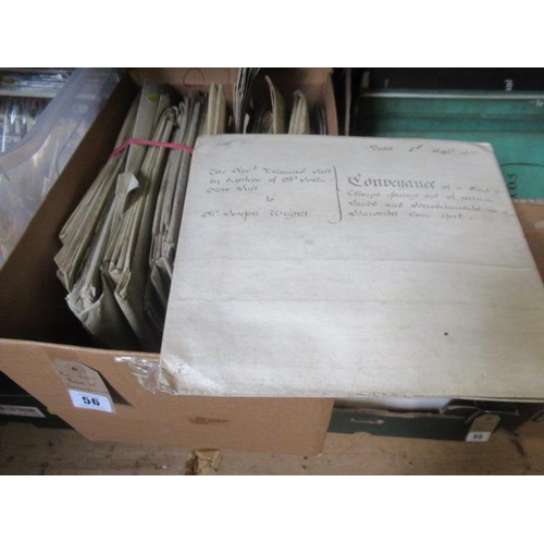 Lot 56        