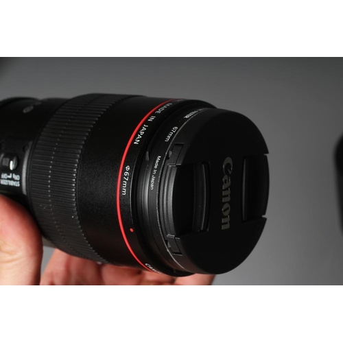 480 - A CANON MACRO LENS, EF 100mm 1:2.8 L IS USM, with case (Est. plus 24% premium inc. VAT)