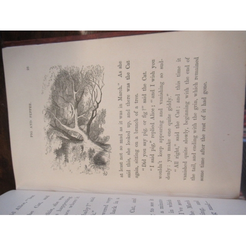 461 - ALICE IN WONDERLAND, Lewis Carroll, 1876, Macmillan, 51st Thousand; good condition, lower inner hing... 