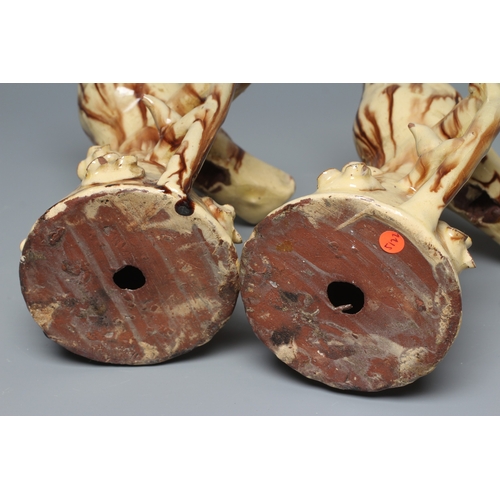 21 - A PAIR OF EARLY VICTORIAN LARGE HALIFAX TERRACOTTA BIRD WHISTLES, the expectant birds each perched u... 