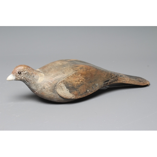 444 - A VINTAGE PINE PIGEON DECOY painted in grey and white, with applied composition beak and screw head ... 