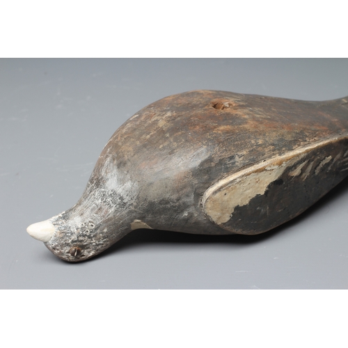 444 - A VINTAGE PINE PIGEON DECOY painted in grey and white, with applied composition beak and screw head ... 