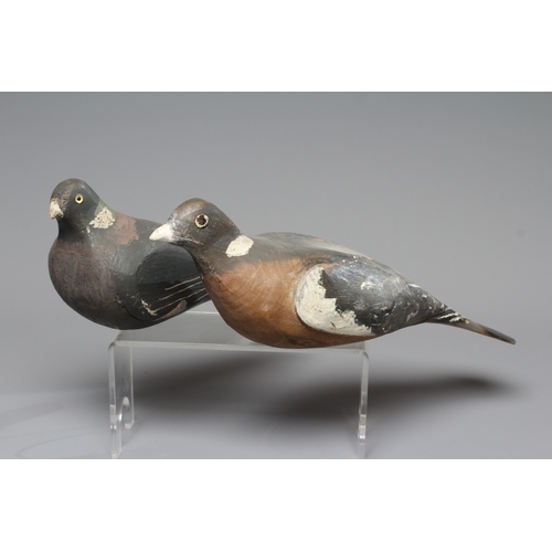 445 - TWO VINTAGE PINE PIGEON DECOYS painted in grey and white, with applied composition beaks, one with g... 