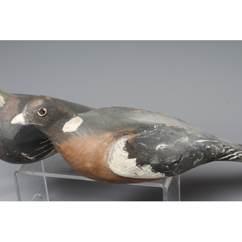 445 - TWO VINTAGE PINE PIGEON DECOYS painted in grey and white, with applied composition beaks, one with g... 