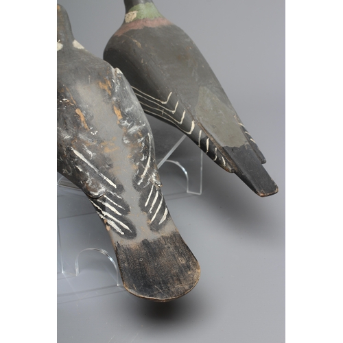 445 - TWO VINTAGE PINE PIGEON DECOYS painted in grey and white, with applied composition beaks, one with g... 