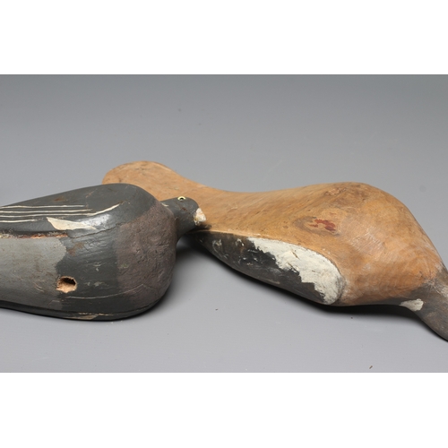 445 - TWO VINTAGE PINE PIGEON DECOYS painted in grey and white, with applied composition beaks, one with g... 