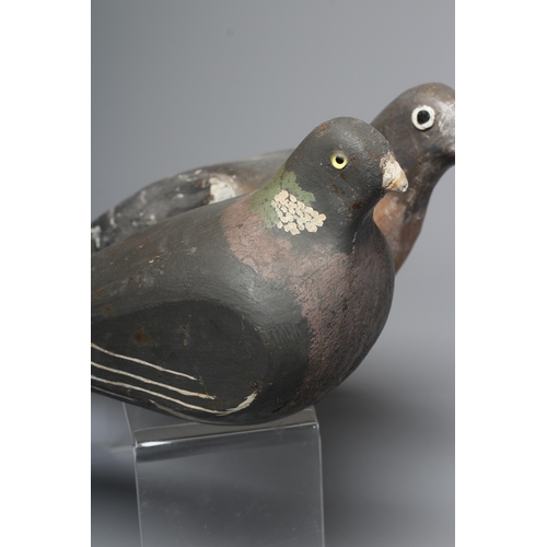 445 - TWO VINTAGE PINE PIGEON DECOYS painted in grey and white, with applied composition beaks, one with g... 