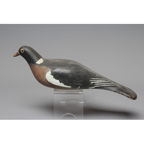 446 - A VINTAGE PINE PIGEON DECOY painted in grey and white, with cast metal beak and screw head eyes, hol... 