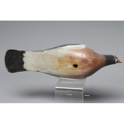 446 - A VINTAGE PINE PIGEON DECOY painted in grey and white, with cast metal beak and screw head eyes, hol... 