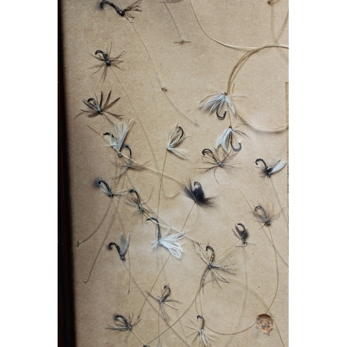 452 - A VICTORIAN FRAMED FISHING DISPLAY centred by a photograph of a gentleman in tails, top hat and fish... 