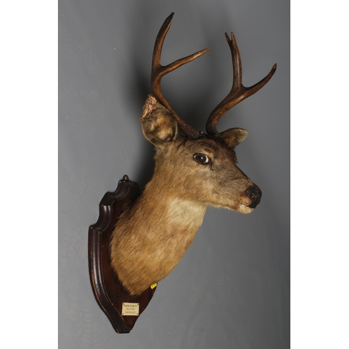 Lot 454       