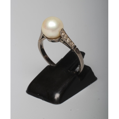 Lot 260       