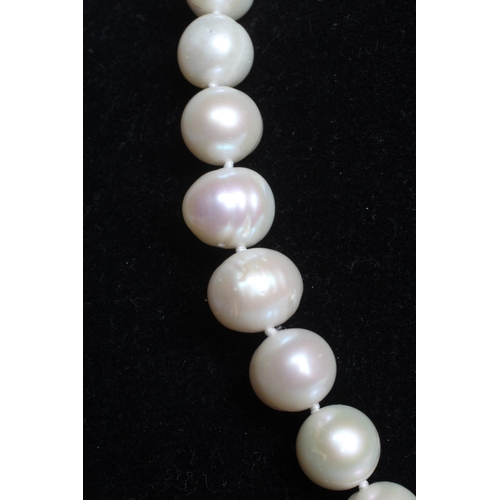 320 - A CULTURED PEARL CHOKER with silver lobster clasp