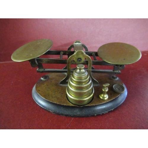 Lot 497       