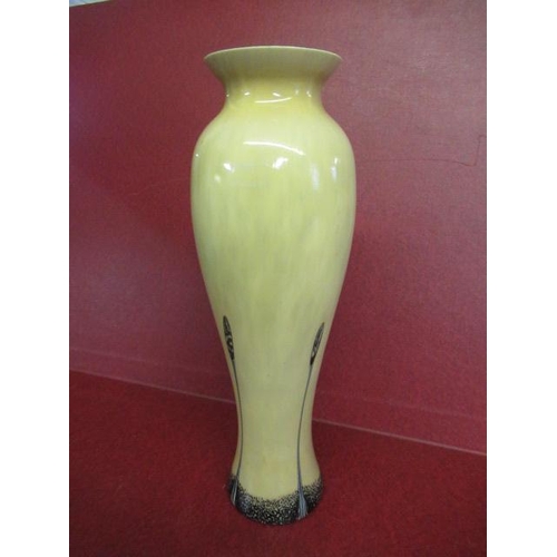Lot 517       