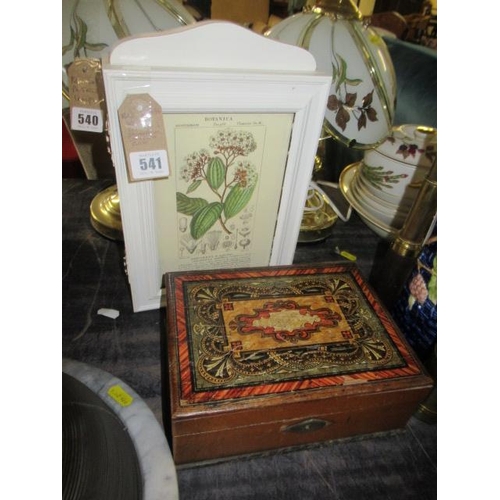 Lot 541       