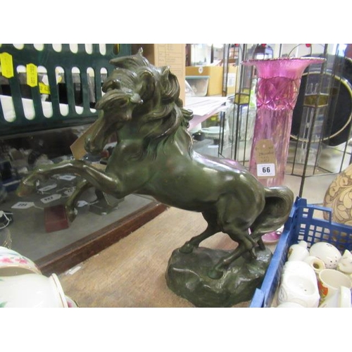 Lot 67        