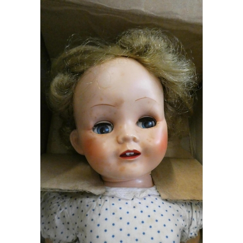 73 - Two Pedigree dolls, both in original blue Pedigree boxes, largest doll 18