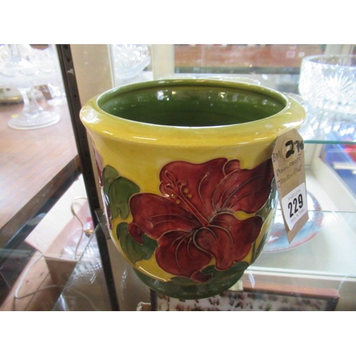 Lot 229       
