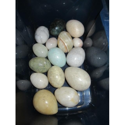 Lot 57        