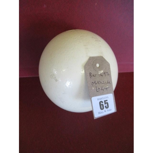 Lot 65        