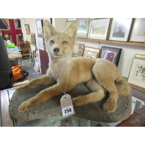 Lot 256       