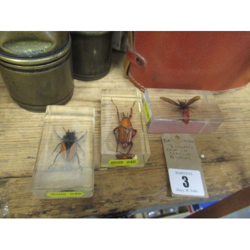 Lot 3         