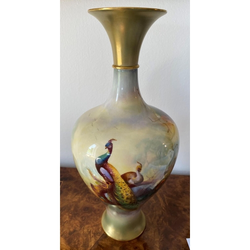 157 - A large royal worcester porcelain vase shape number h289 very well painted picture of a peacock and ... 