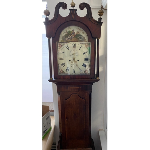 116 - W Pybus castor long case clock in good cosmetic condition. would benefit from a service to sort out ... 