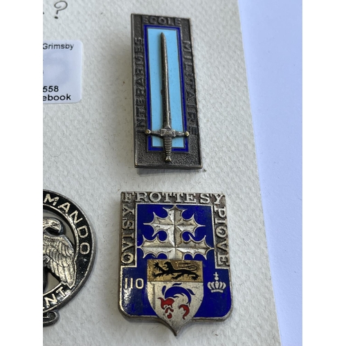 16 - 3 FRENCH COMMANDO BADGES COULD BE SILVER