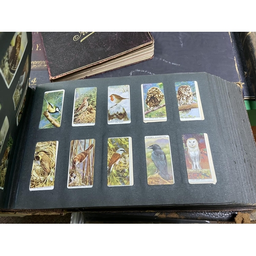 252 - LARGE CIGARETTE CARD ALBUM