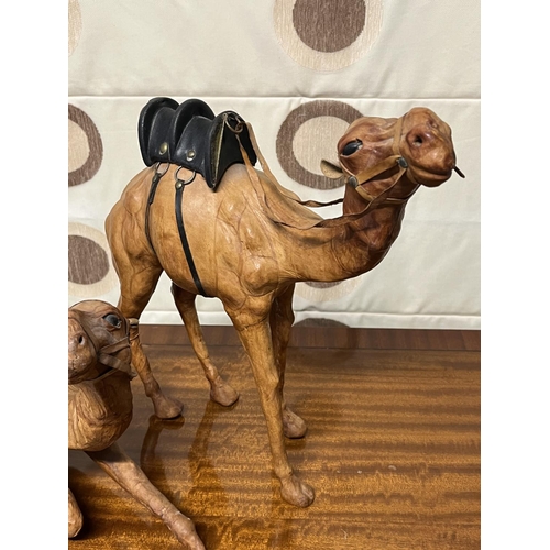 61 - 3 VINTAGE LEATHER COVERED CAMELS THE LARGES IS 40CM WIDE AND ONE OF THE CAMELS IS A/F